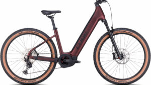 https://www.bikewerk21.ch/wp-content/uploads/2024/04/image_2-31-300x169.jpg